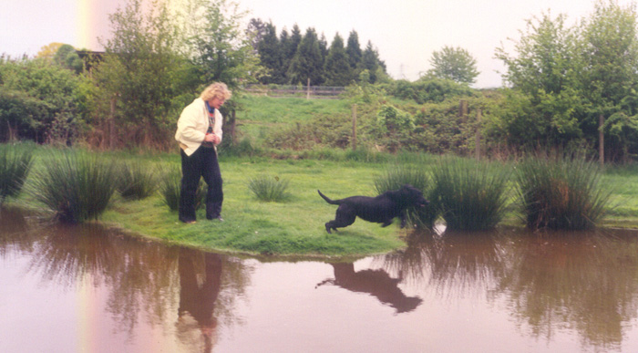 Dog-Training-Test